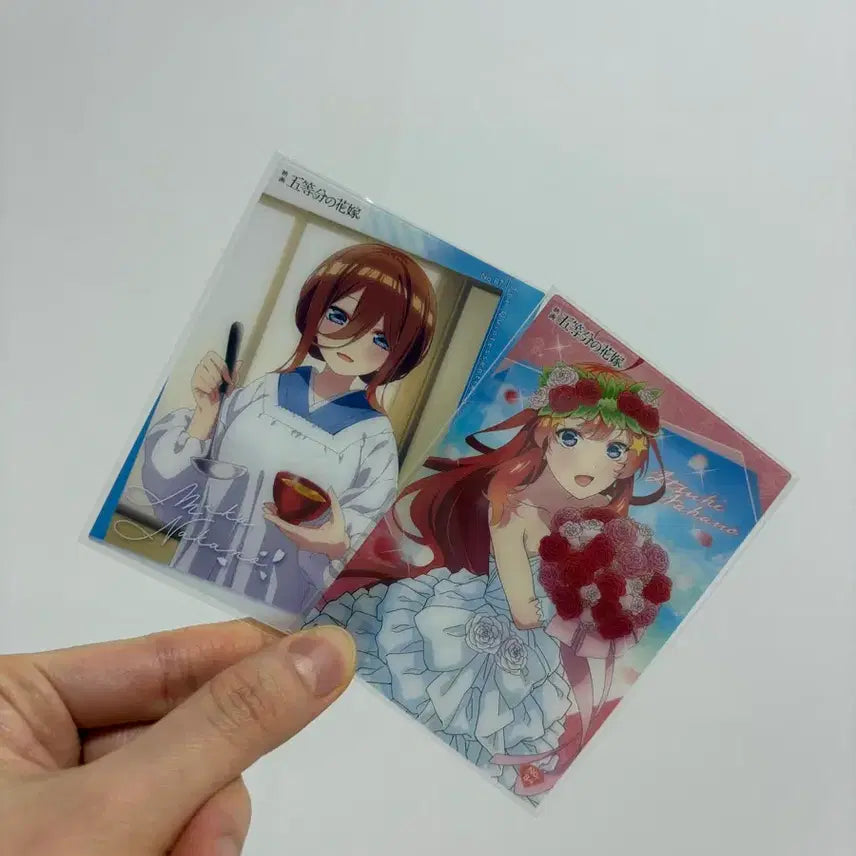 [BUNJANG] The Quintessential Quintuplets Clear Card / 5등분의 신부 클리어카드