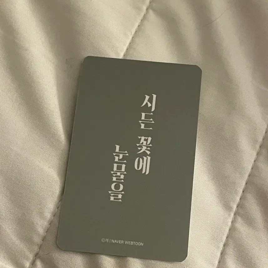 [BUNJANG] Sidaeun Flower Tears Photocard / 시든꽃에눈물을 포카 굿즈