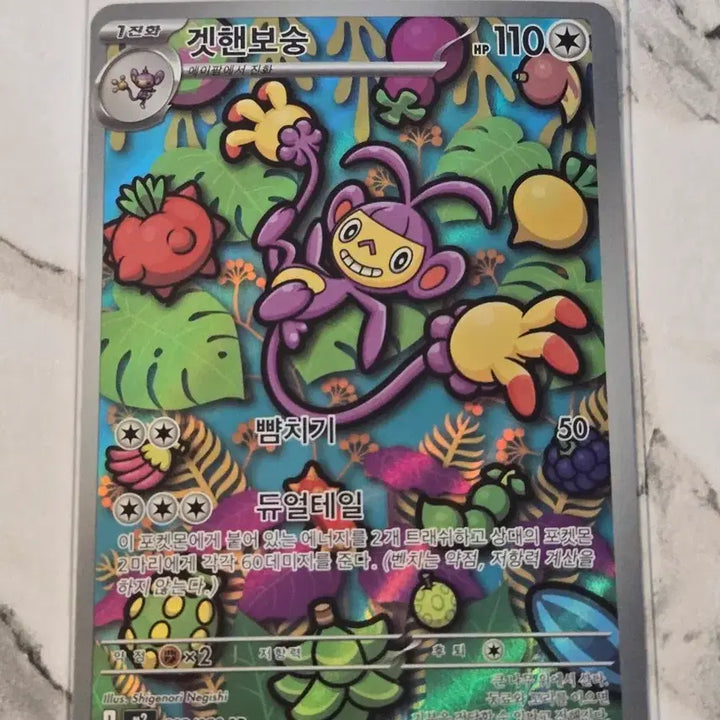 [BUNJANG] Pokemon Get-Hand AR Card / 포켓몬카드 겟핸보숭 AR