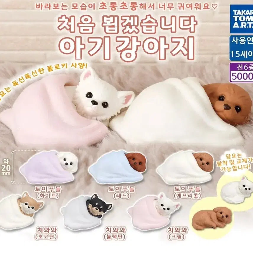[BUNJANG] Baby Poodle (White) Gacha Figure / 처음뵙겠습니다 아기 강아지 가챠 (토이푸들 화이트)