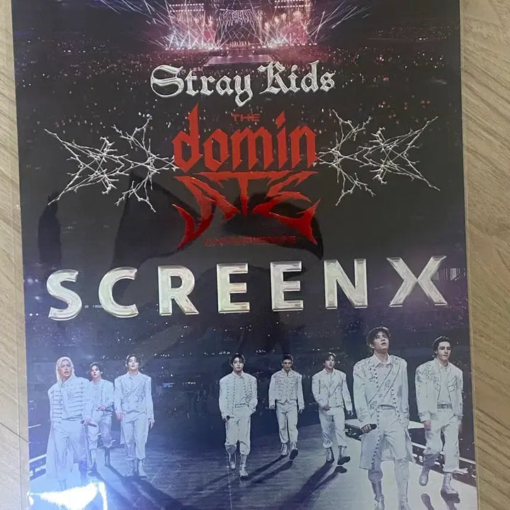 [SOLD OUT] Stray Kids 스트레이키즈 SCREEN X 돔 투어 포스터