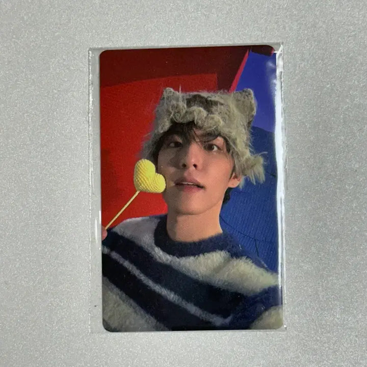 [BUNJANG] Day6 Wonpil 2025 Concert POB Photocard / (미개봉) 데이식스 25클콘 5만원 포카 원필