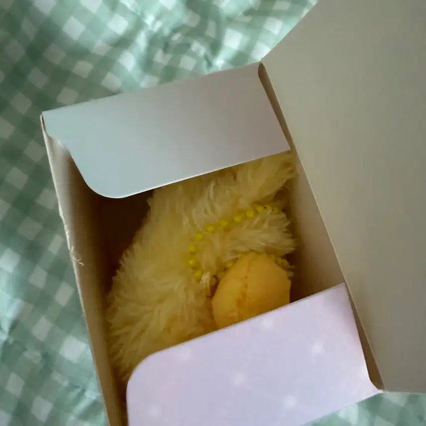 [BUNJANG] Color Wish Doll Kuri Yellow Doll / 컬러위시돌 쿠리 노란색 단순개봉