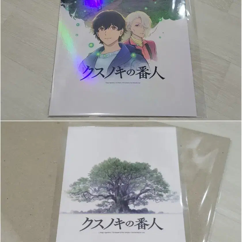 [BUNJANG] Camphor Tree Sentinel Poster and Postcard Set / [전용박스 안전포장] 녹나무의파수꾼 2종 세트