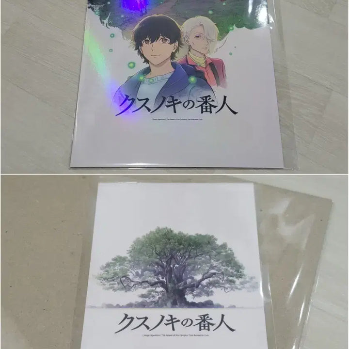[BUNJANG] Camphor Tree Sentinel Poster and Postcard Set / [전용박스 안전포장] 녹나무의파수꾼 2종 세트