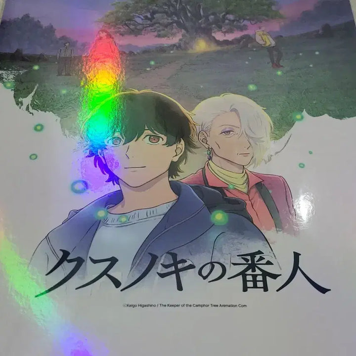 [BUNJANG] Camphor Tree Sentinel Poster and Postcard Set / [전용박스 안전포장] 녹나무의파수꾼 2종 세트
