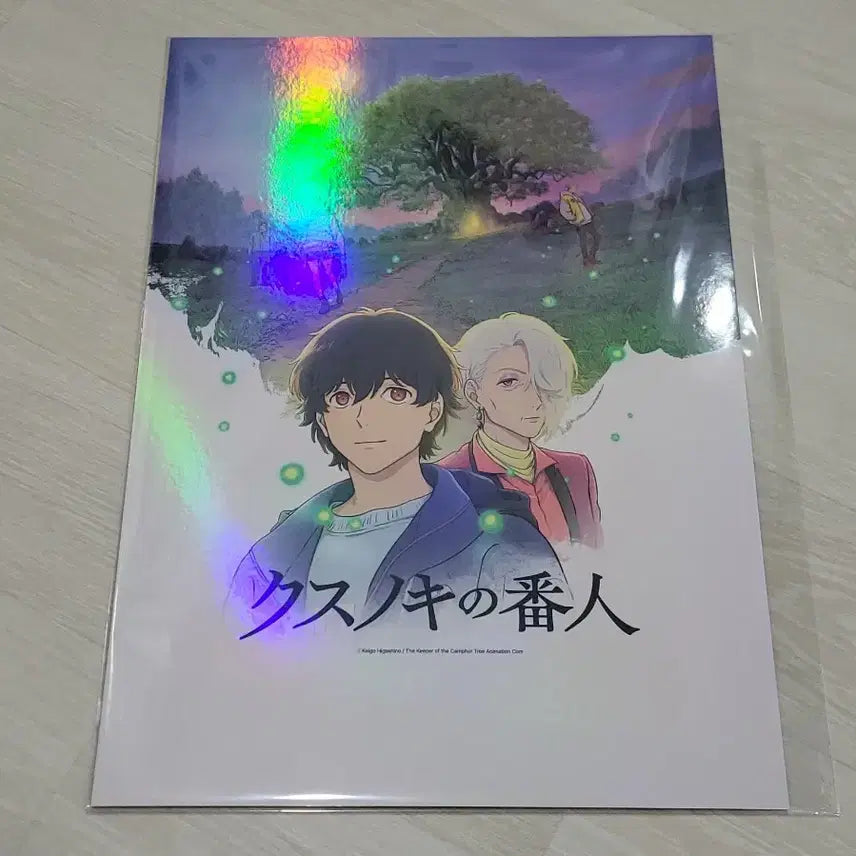 [BUNJANG] Camphor Tree Sentinel Poster and Postcard Set / [전용박스 안전포장] 녹나무의파수꾼 2종 세트