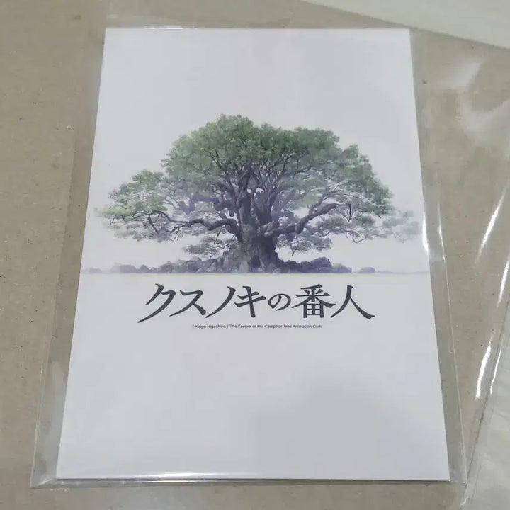 [BUNJANG] Camphor Tree Sentinel Poster and Postcard Set / [전용박스 안전포장] 녹나무의파수꾼 2종 세트