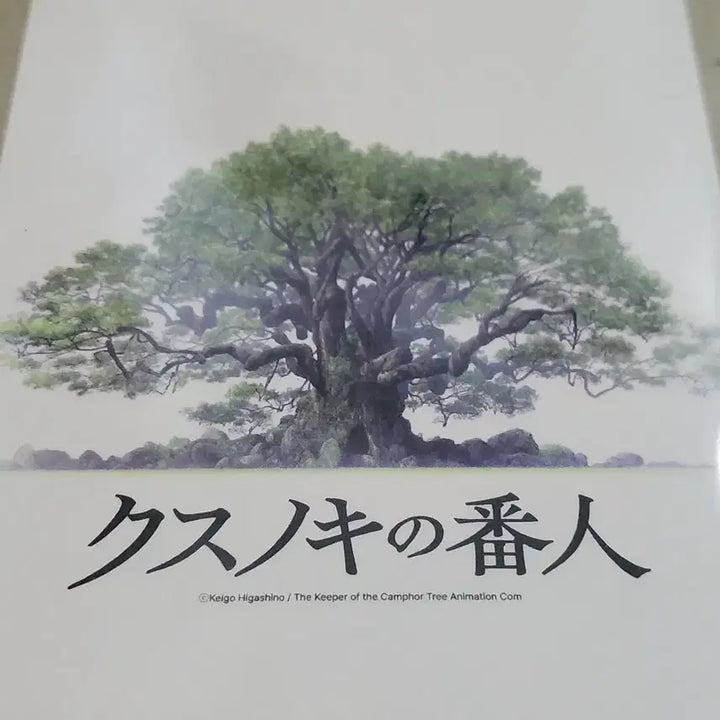 [BUNJANG] Camphor Tree Sentinel Poster and Postcard Set / [전용박스 안전포장] 녹나무의파수꾼 2종 세트