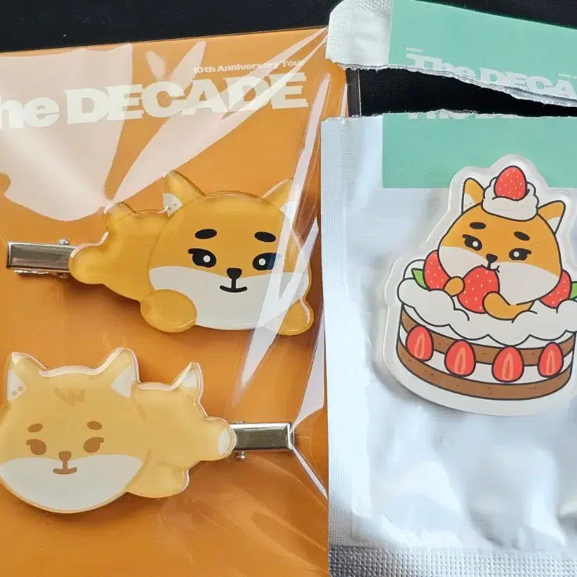 [BUNJANG] Day6 Young K Magnet &amp; Hair Clip Set / 데이식스 영케이 대전 마그넷 헤어클립 day6