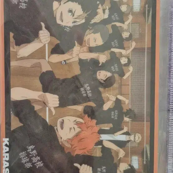 [BUNJANG] Haikyu Karasuno Postcard Set / 하이큐 카라스노 엽서