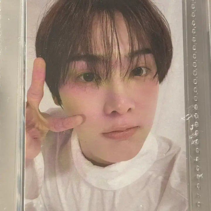 [BUNJANG] Astro Sanha Diffusion Fan-Con Photocard / 2023 아스트로 산하 팬콘 디퓨전 입장포카