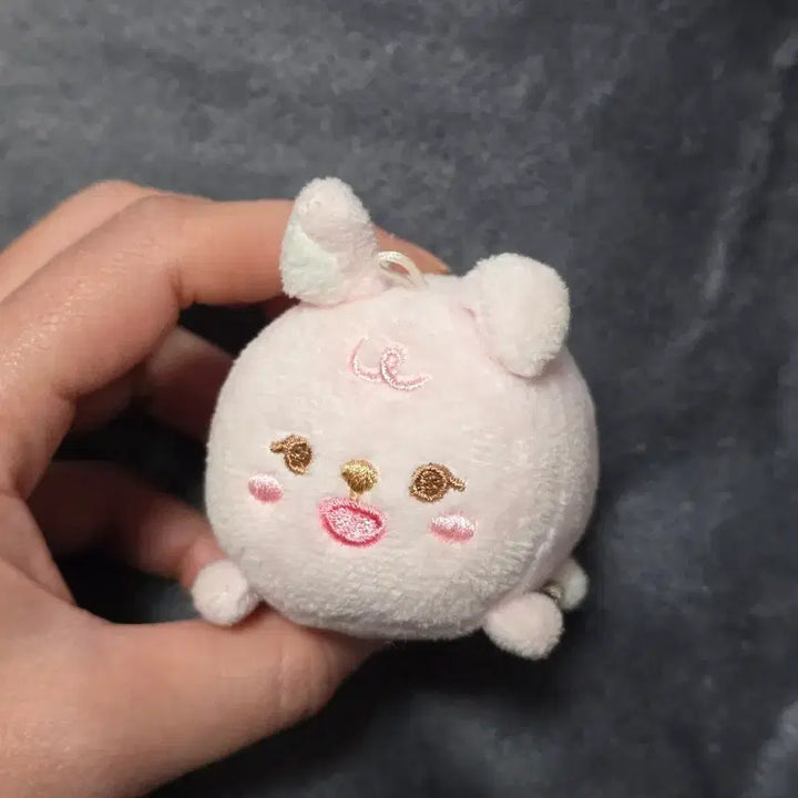 [BUNJANG] Day6 Denimalz Wonpil 21Petit Pil Doll / 데이식스 데니멀즈 쁘띠멀즈 사족보행 필끼 21petit pil 원필 인형