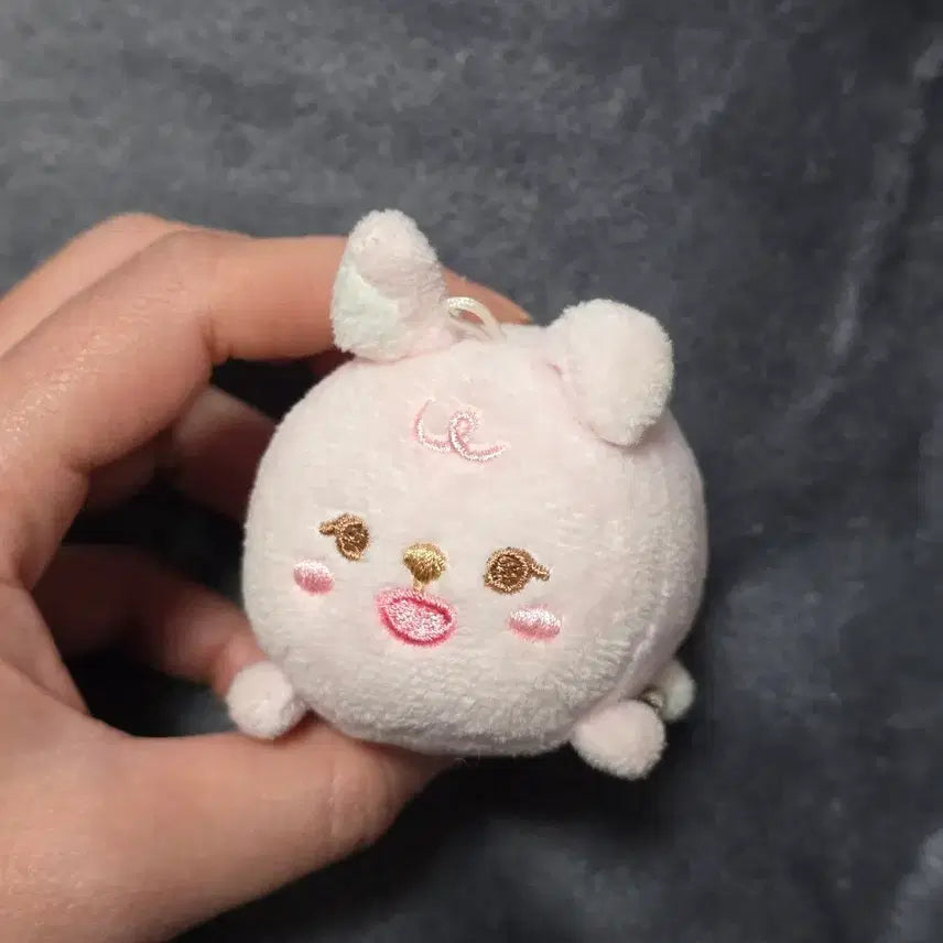 [BUNJANG] Day6 Denimalz Wonpil 21Petit Pil Doll / 데이식스 데니멀즈 쁘띠멀즈 사족보행 필끼 21petit pil 원필 인형