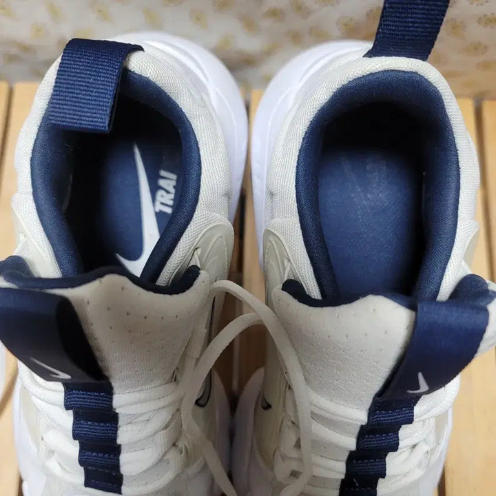 [BUNJANG] Nike Air Max Alpha Savage Sneakers 255 / 나이키 에어 맥스 알파 세비지 운동화 255