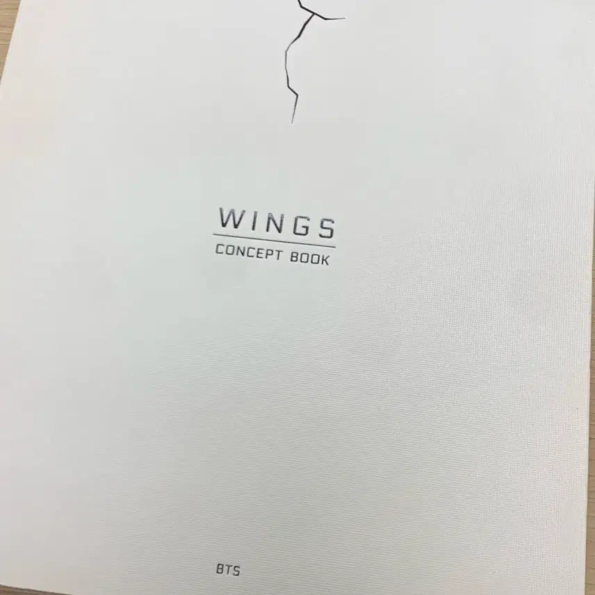 [BUNJANG] BTS V Wings Concept Book Photocard / 방탄소년단 윙즈 컨셉북 뷔 포카 상태좋아용