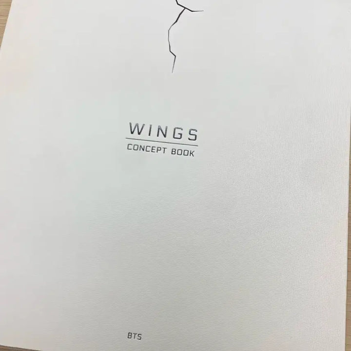 [BUNJANG] BTS V Wings Concept Book Photocard / 방탄소년단 윙즈 컨셉북 뷔 포카 상태좋아용