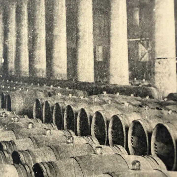 [BUNJANG] 1900s Château Margaux Wine Cellar Postcard / 1900년 - 프랑스 보르도 5대 샤토 - 샤토 마고 -  와인 저장고
