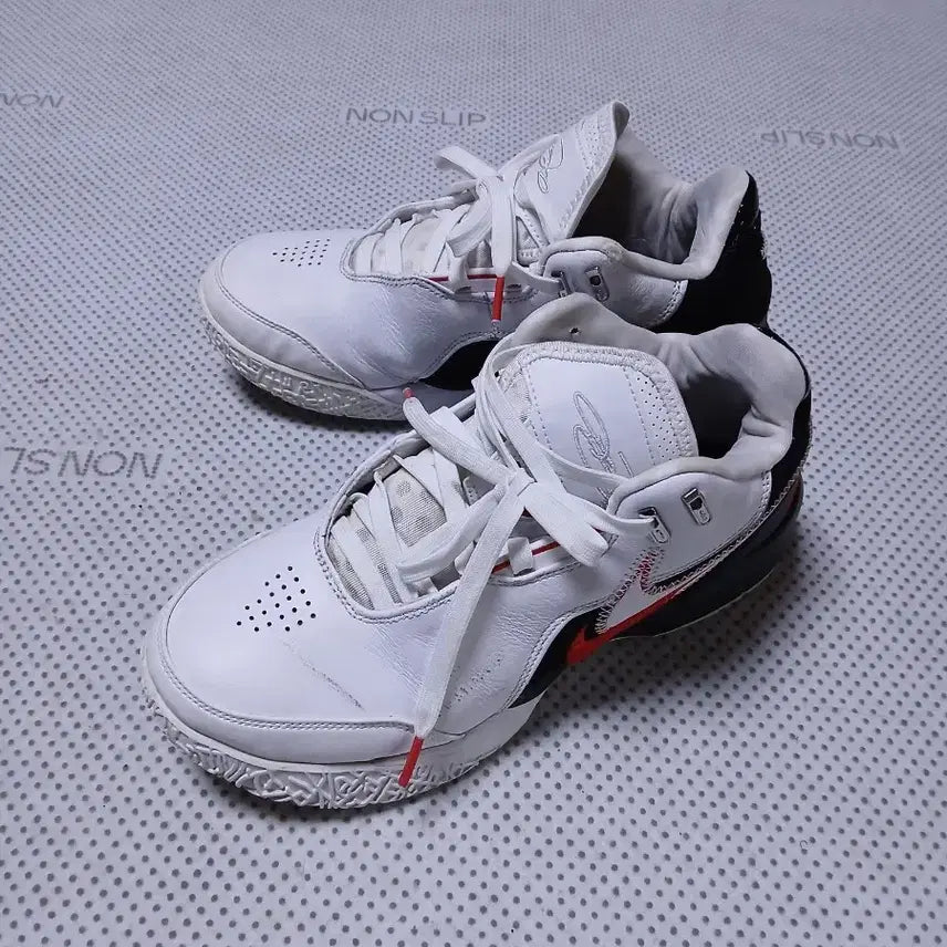 [BUNJANG] Nike LeBron Basketball Shoes / 나이키 르브론 농구화