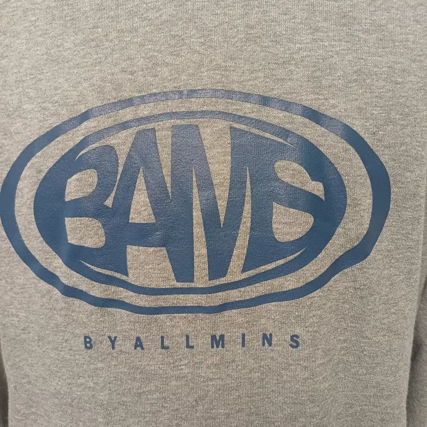 [BUNJANG] BYALLMINS BAMS Logo Hoodie (XL) / 바이올민스(BYALLMINS) BAMS 로고 후드티 (XL/105급)