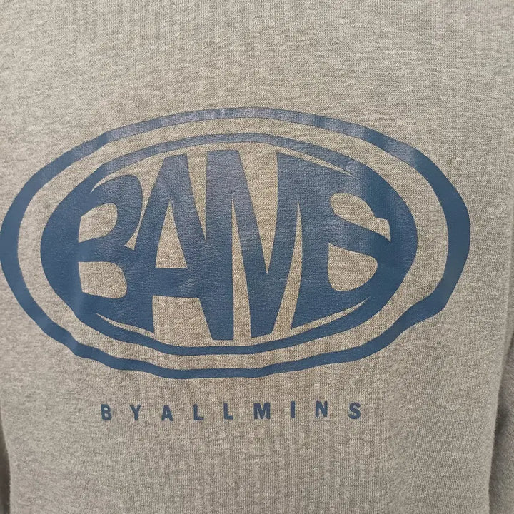 [BUNJANG] BYALLMINS BAMS Logo Hoodie (XL) / 바이올민스(BYALLMINS) BAMS 로고 후드티 (XL/105급)