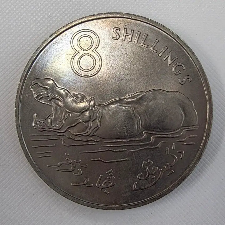 [BUNJANG] Gambia 8 Shillings Coin (1970) / [대형][희귀] (번개장터에서 하나뿐인)감비아 8실링 주화 zk-2105