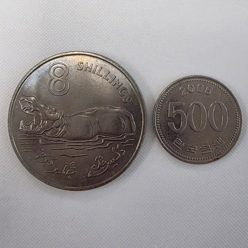 [BUNJANG] Gambia 8 Shillings Coin (1970) / [대형][희귀] (번개장터에서 하나뿐인)감비아 8실링 주화 zk-2105
