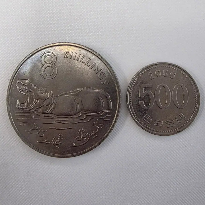 [BUNJANG] Gambia 8 Shillings Coin (1970) / [대형][희귀] (번개장터에서 하나뿐인)감비아 8실링 주화 zk-2105