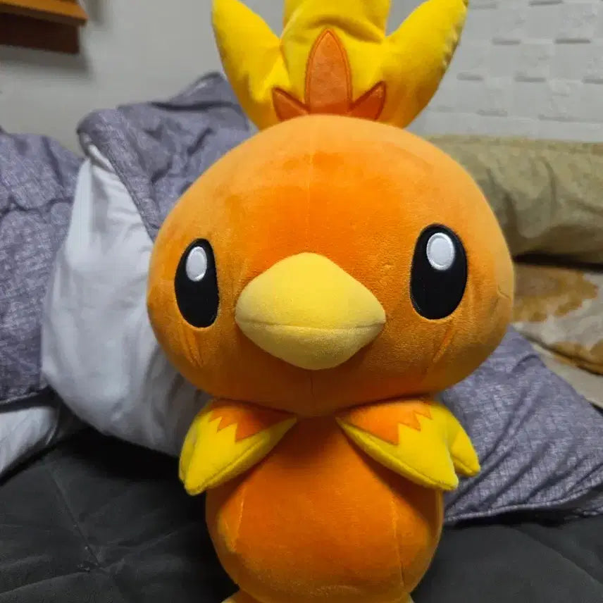 [BUNJANG] Bandai Spirits Torchic Plush Toy / 포켓몬스터 반다이 스피릿츠 아차모 인형 정품