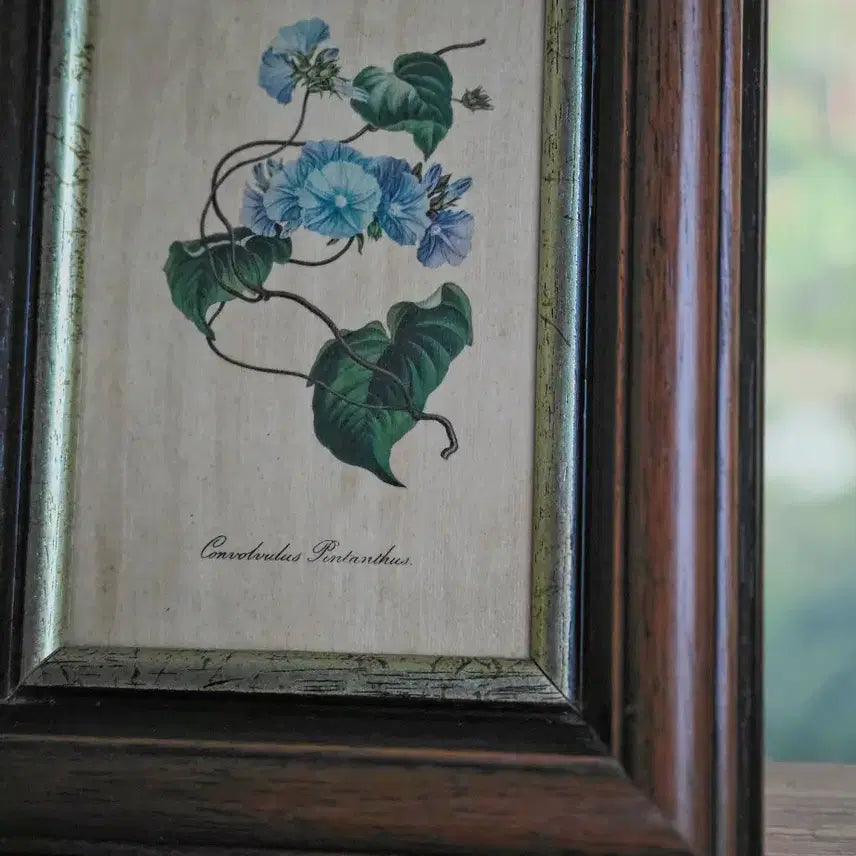 [BUNJANG] Vintage Blue Floral Wood Frame Picture Frame / 빈티지 블루꽃 우드 프레임 액자