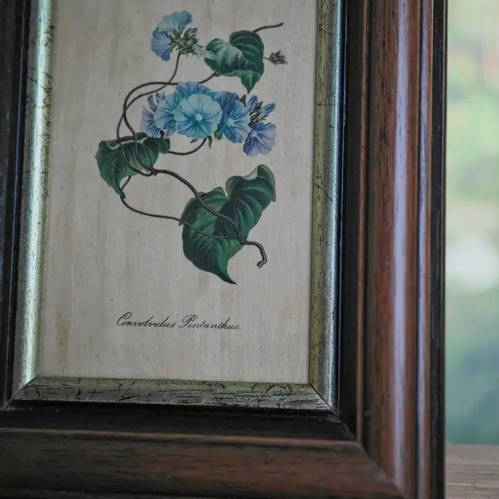 [BUNJANG] Vintage Blue Floral Wood Frame Picture Frame / 빈티지 블루꽃 우드 프레임 액자