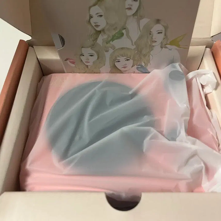 [BUNJANG] Red Velvet Irene Album Goods Bundle / 레드벨벳 red velvet 아이린 앨범 굿즈