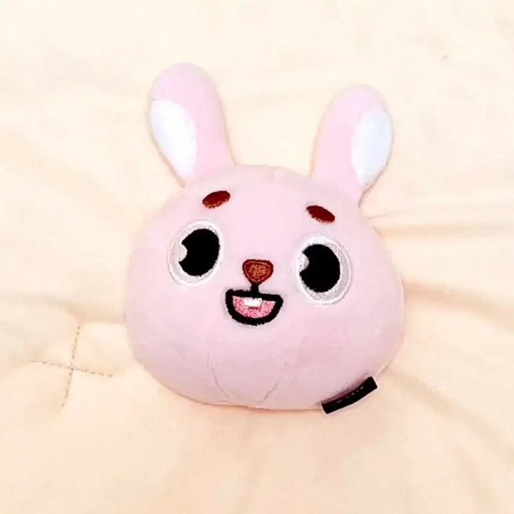 [BUNJANG] Day6 Denimals Philkki Stress Ball / 데이식스 데니멀즈 필끼 스트레스볼