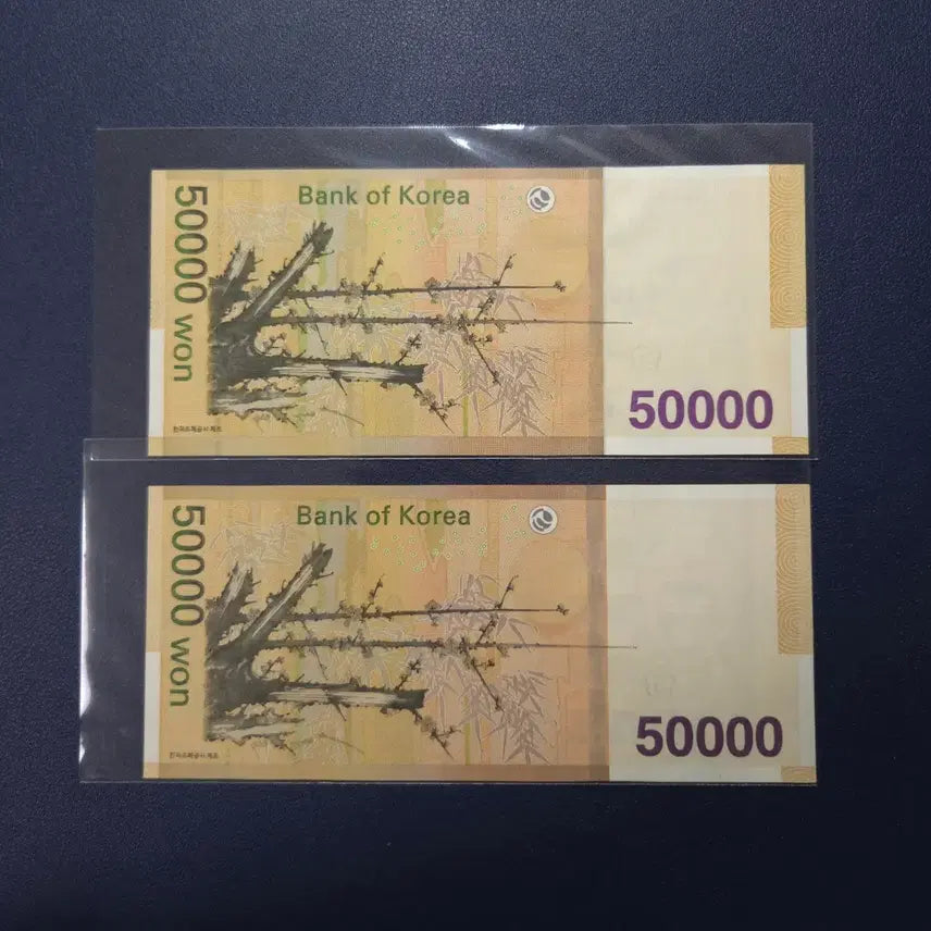 [BUNJANG] Rare Uncirculated "Shin Ripiter" / "Shin Raider" 50,000 Won Banknotes (2 bills) / 귀한 미사용 신리피터/ 신레이더 오만원권 2장모두 희귀지폐수집용