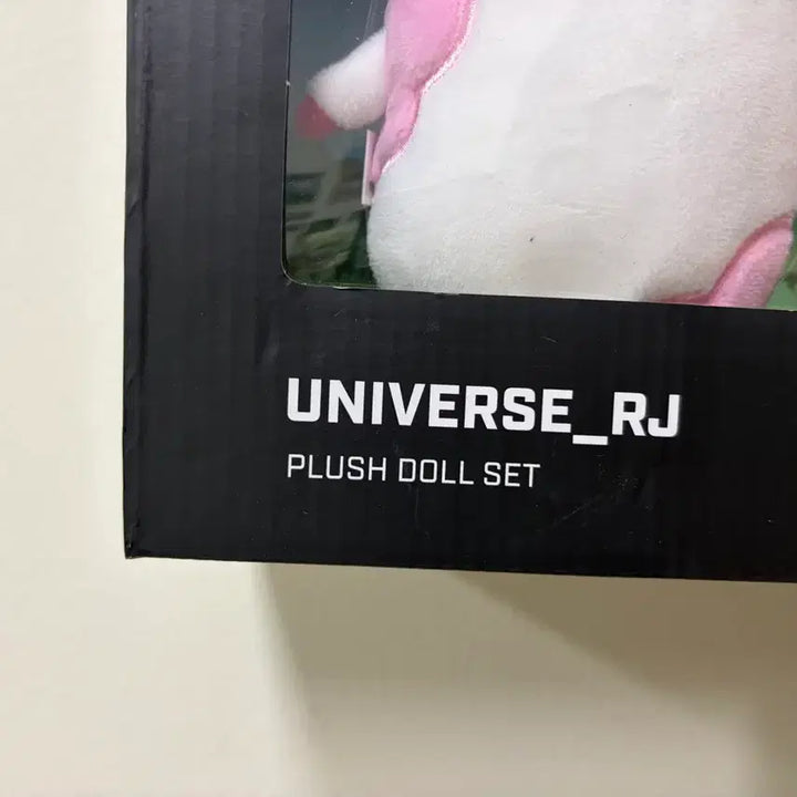 [SOLD OUT] BT21 유니버스 가족인형 세트 한정판 RJ (JIN)