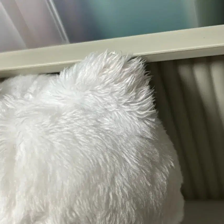 [BUNJANG] BTS Langsu Doll / BTS 인형 랑슈