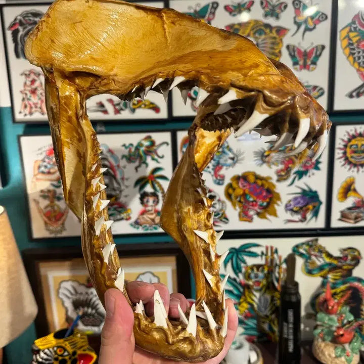 [BUNJANG] Shark Tooth / 상어이빨
