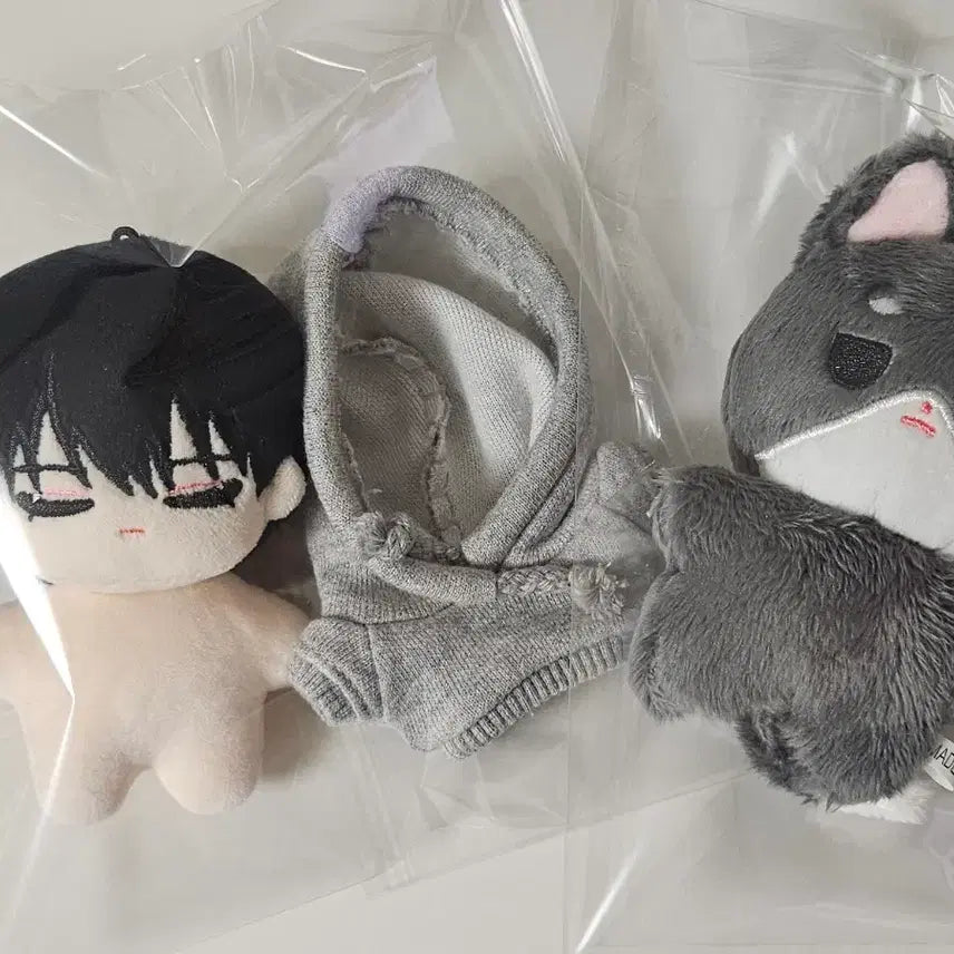 [BUNJANG] Demutj Testa Kokogunu Ryugeonwu 40cm Doll / 데못죽 코야코야 테스타 코코건우 류거눙 류건우 속성 인형