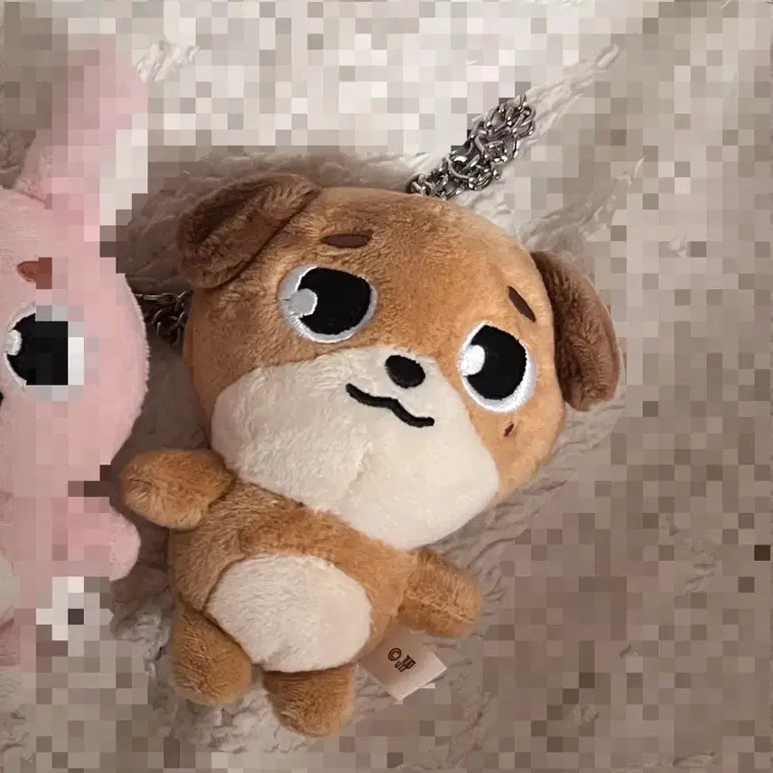 [BUNJANG] DAY6 Danny Animals Don Plush Charm / 데이식스 백참 데니멀즈 돈 일본엠디 원가 이하