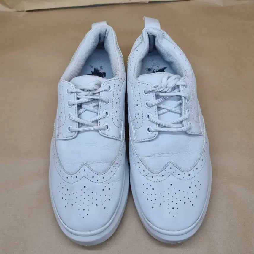 [SOLD OUT] 왁 여성골프화 245