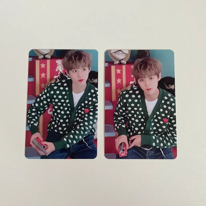 [BUNJANG] Park Jihoon May Kit Season 1 Photocard Bundle Set / 박지훈 메이 키트 1기 포카 일괄