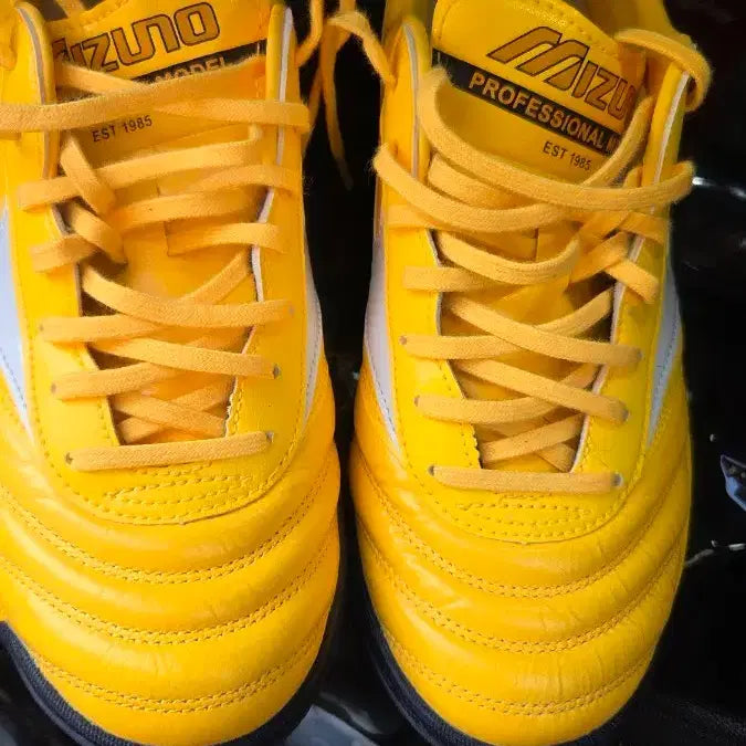 [BUNJANG] Mizuno Futsal Shoes / 미즈노 풋살화