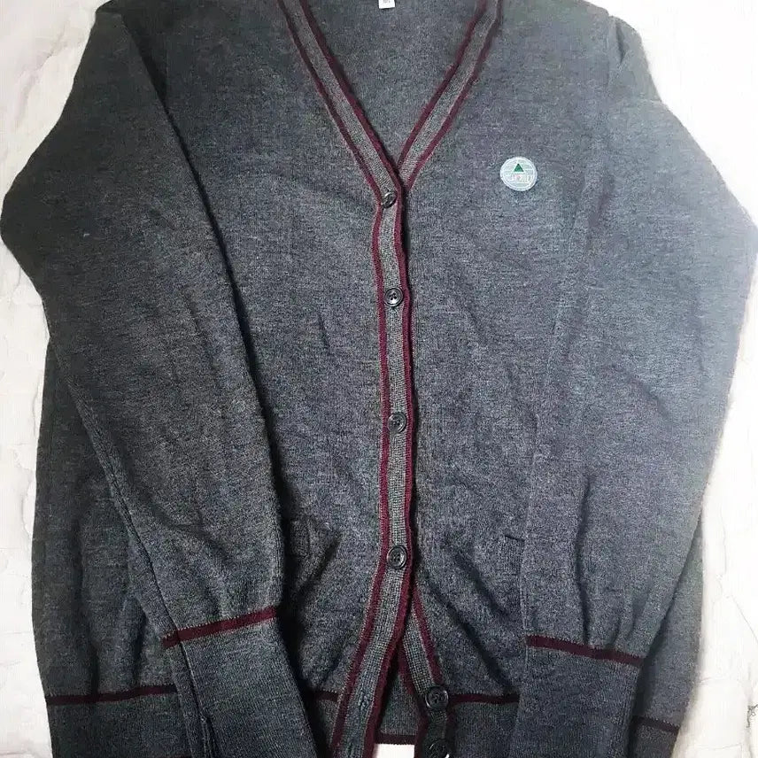 [BUNJANG] Daechung Middle School Cardigan / 대청중 가디건