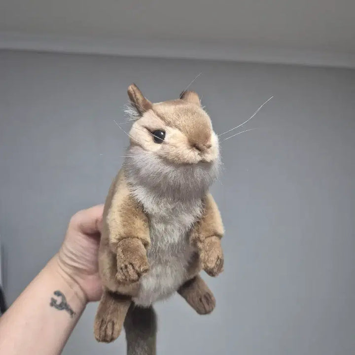 [BUNJANG] Hansa Squirrel Plush / Hansa 다람쥐 인형