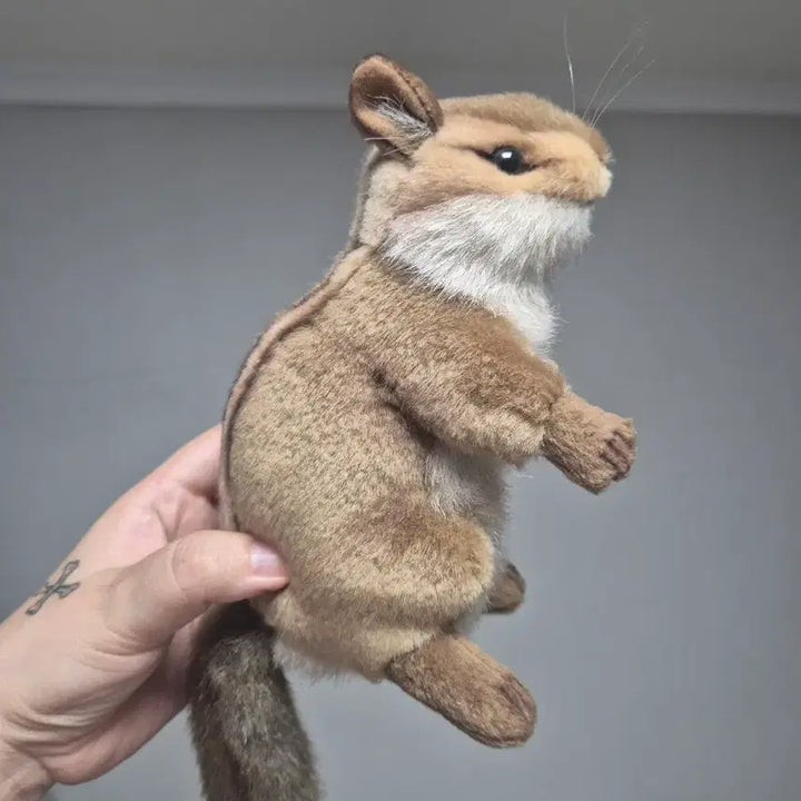 [BUNJANG] Hansa Squirrel Plush / Hansa 다람쥐 인형