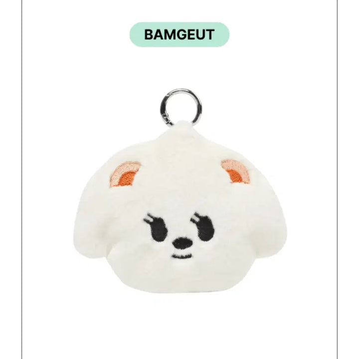 [BUNJANG] TXT Beomgyu Coin Pouch / 투바투 뿔바투 범규 밤긋 동전지갑 코인파우치