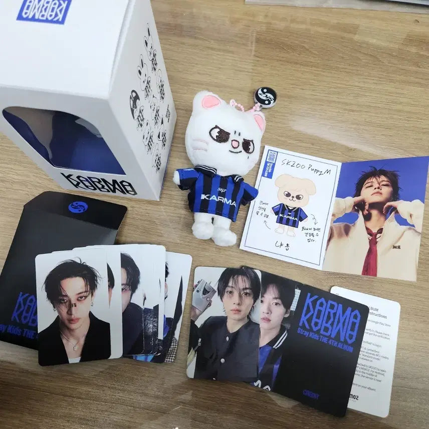 [SOLD OUT] 스트레이키즈 카르마 KARMA 스키주버전 앨범 인형