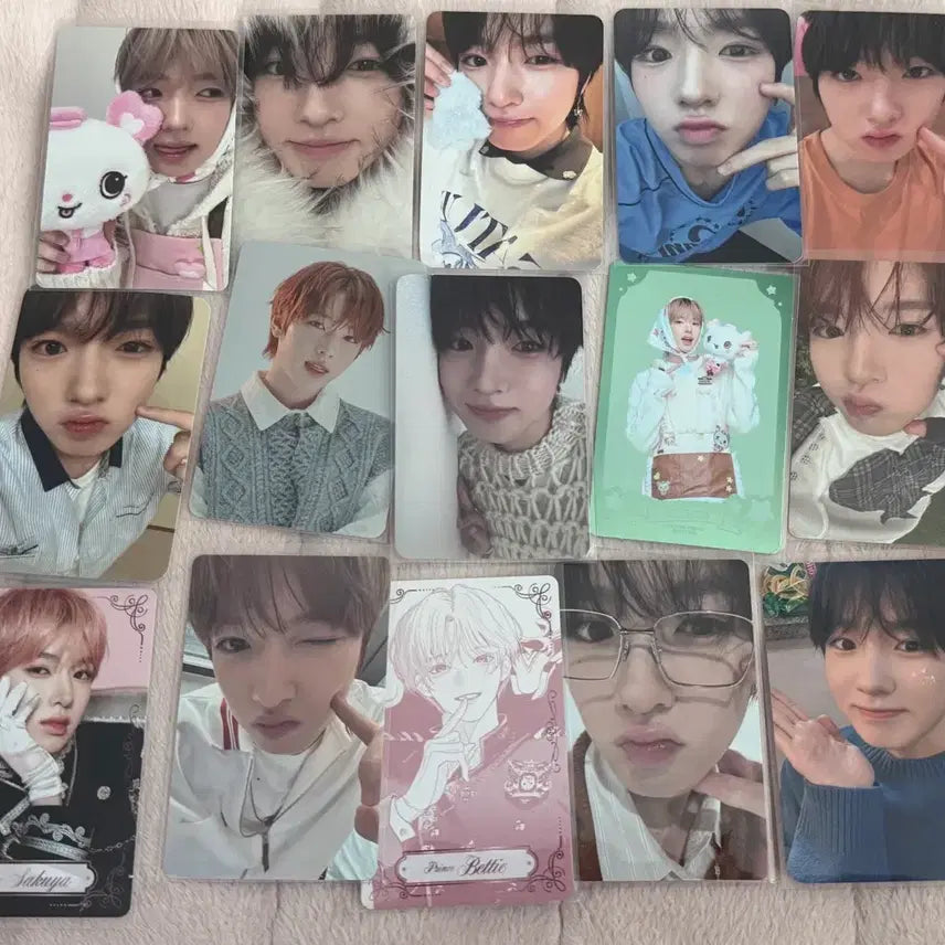 [SOLD OUT] 엔위시 엔시티위시 사쿠야포카 일괄 양도