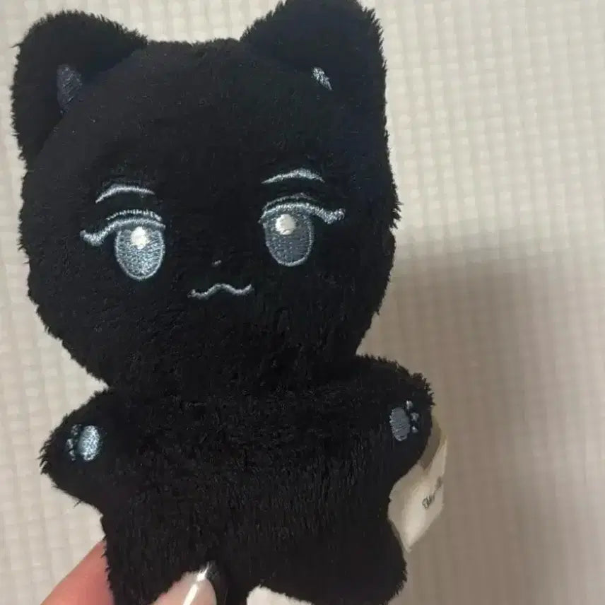 [BUNJANG] ZEROBASEONE Kim Jiwoong Kkamungnyang Doll / 최저저저가)제베원 제로베이스원 김지웅 깜웅냥 인형 양도합니다