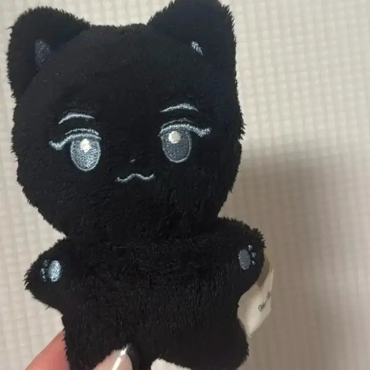 [BUNJANG] ZEROBASEONE Kim Jiwoong Kkamungnyang Doll / 최저저저가)제베원 제로베이스원 김지웅 깜웅냥 인형 양도합니다